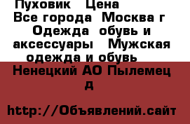 Пуховик › Цена ­ 2 000 - Все города, Москва г. Одежда, обувь и аксессуары » Мужская одежда и обувь   . Ненецкий АО,Пылемец д.